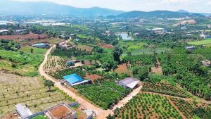 Nhu cầu sở hữu second home của khách hàng tác động đến giá đất Lâm Đồng