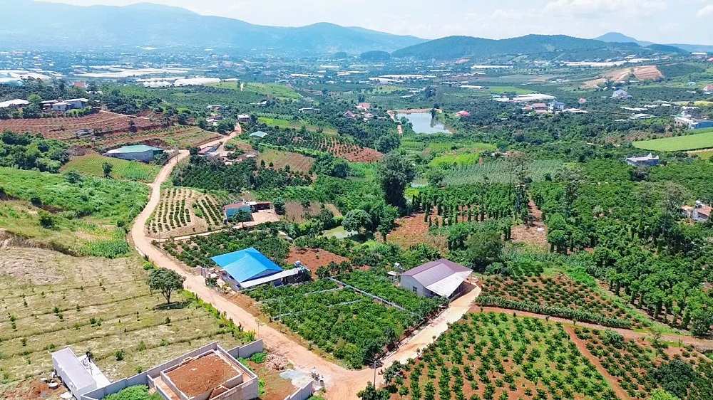 Nhu cầu sở hữu second home của khách hàng tác động đến giá đất Lâm Đồng