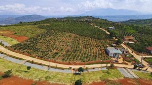 Lưu ý khi đầu tư dài hạn vào đất Lâm Đồng